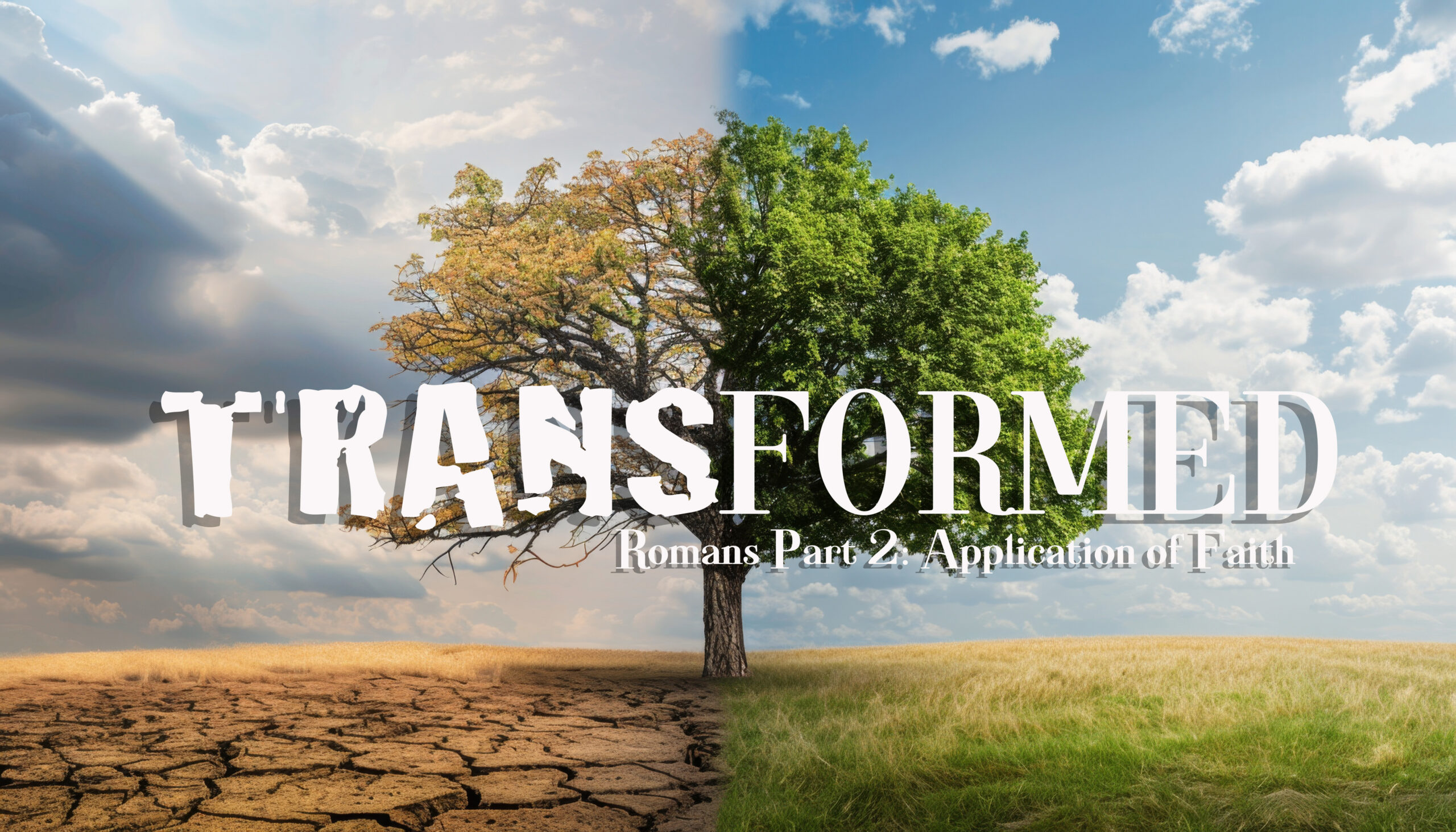 Sunday Morning 2.2.25