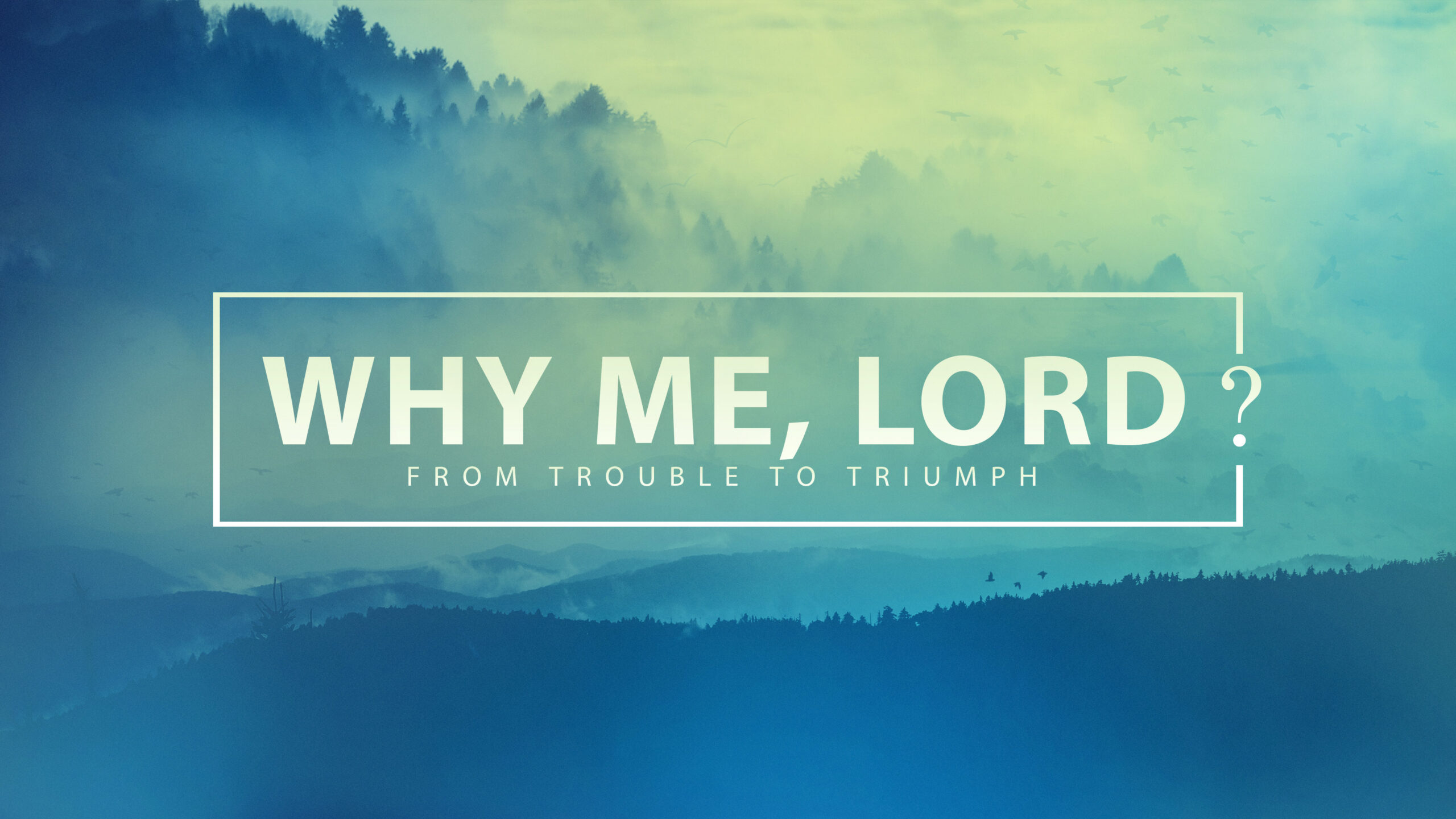 Sunday Morning 12.31.23